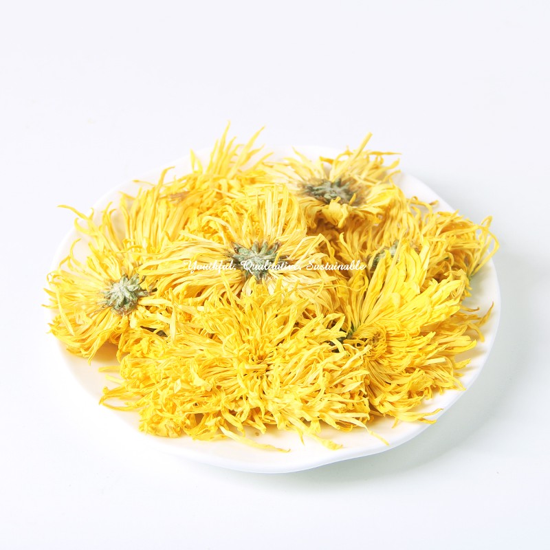 Imperial Chrysanthemum