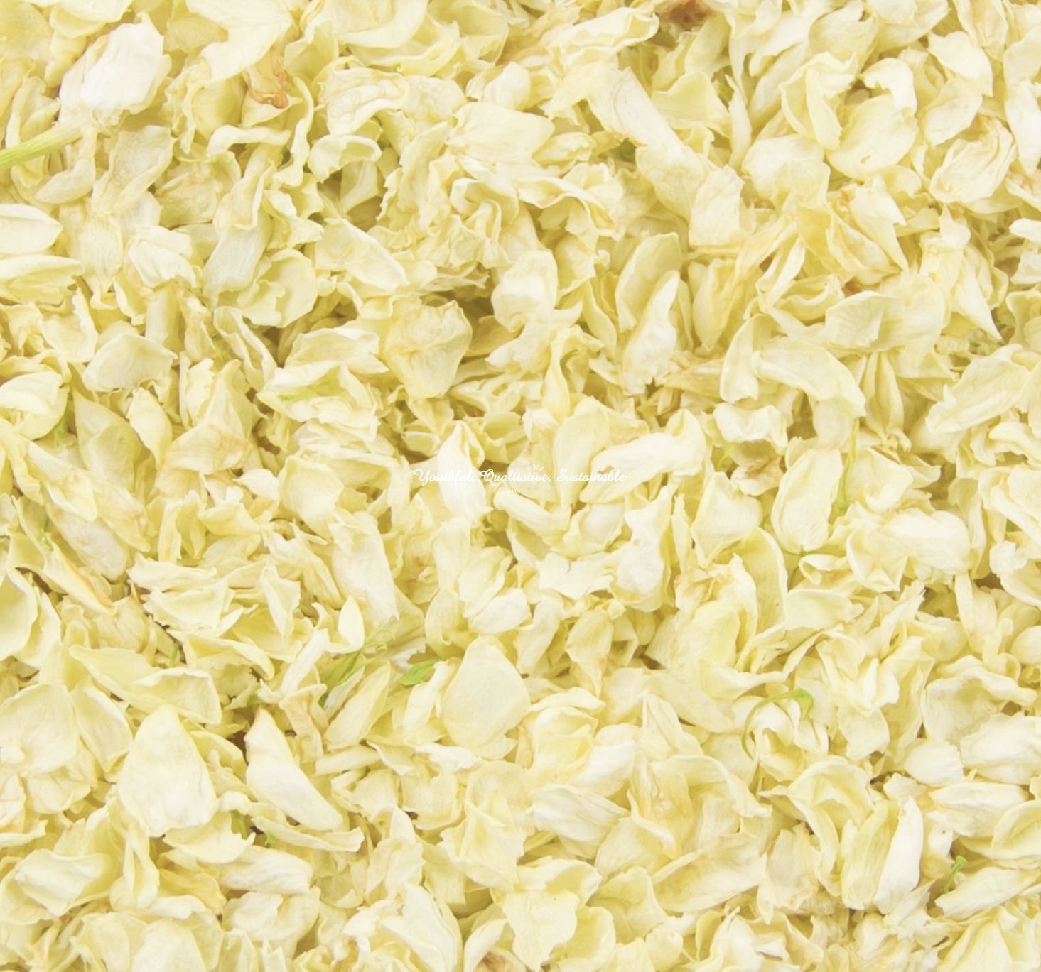 Dried Jasmine Petals